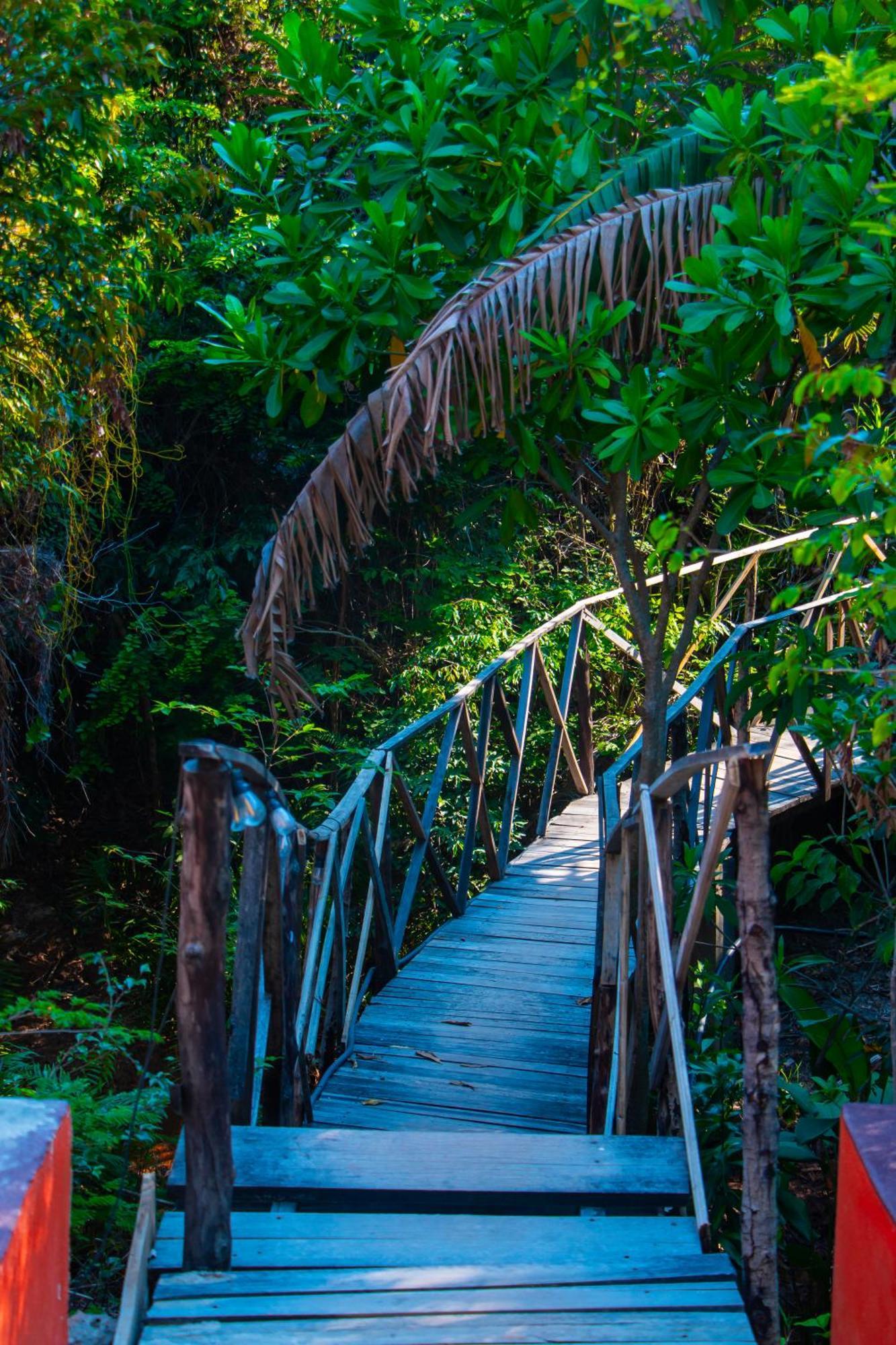 Ampazony Oasis Lodge Mahajanga Eksteriør billede